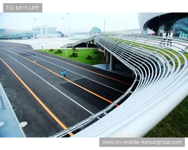 打造面向海外华人的体育资讯传播平台，国外体育媒体